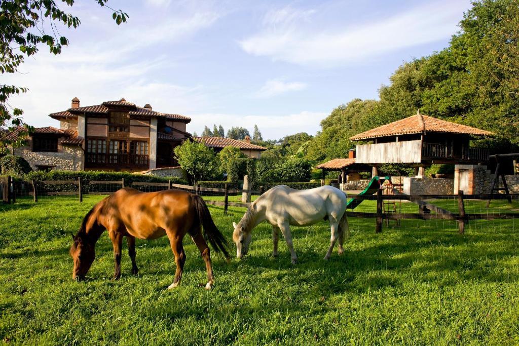 Hotel Rural Arredondo Celorio  Exteriér fotografie